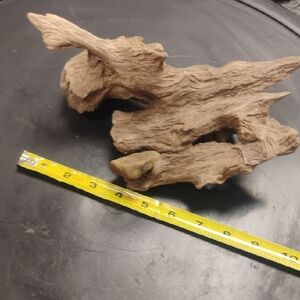 Natural Driftwood Decor Piece